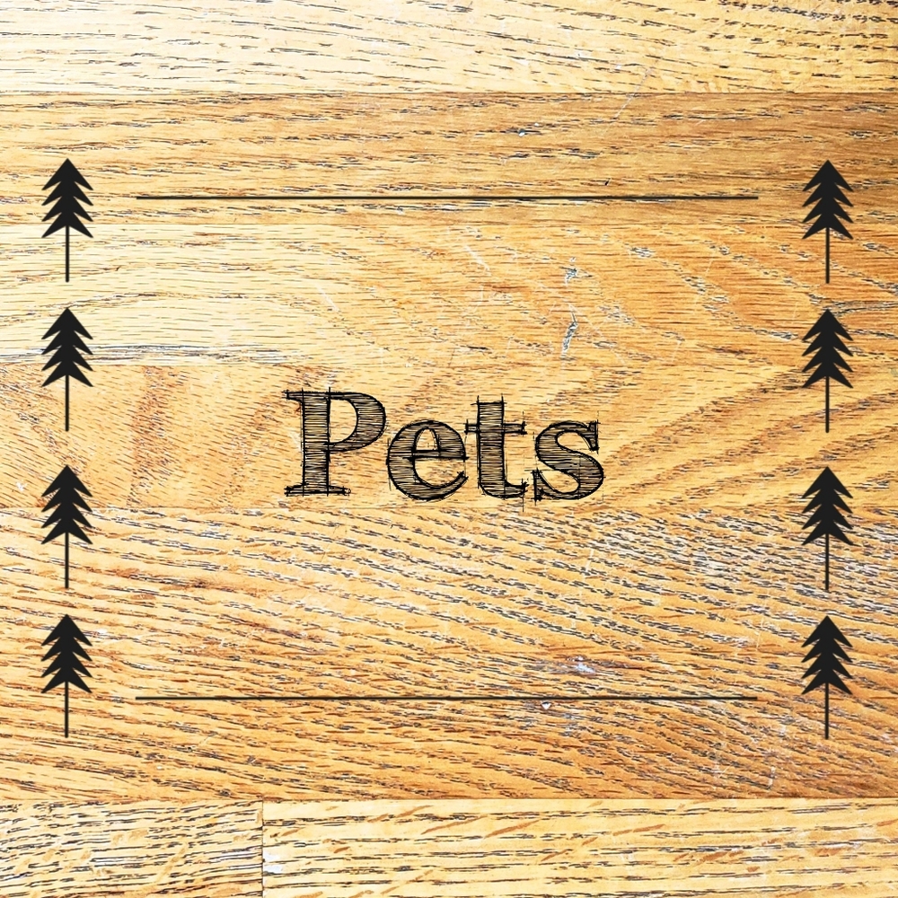 Pet Items